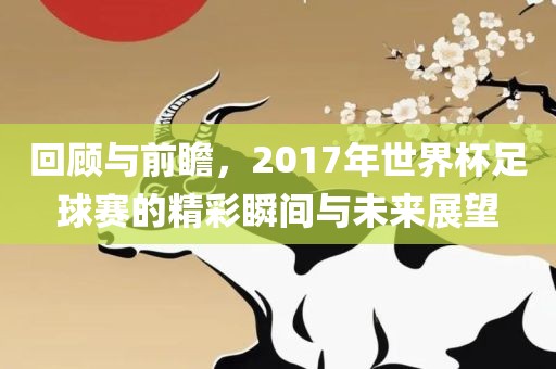 回顾与前瞻，2017年世界杯足球赛的精彩瞬间与未来展望漯河市盈旭机械设备有限公司
