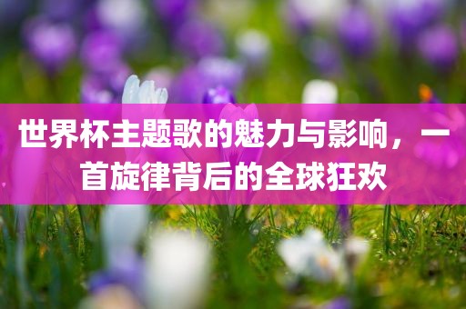 世界杯主题歌的魅力与影响，一首旋律背后的全球狂欢漯河市盈旭机械设备有限公司