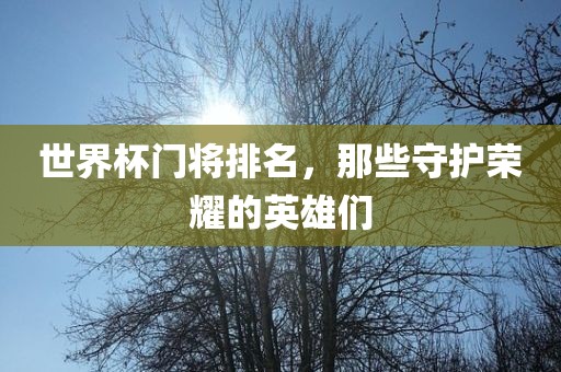 世界杯门将排名，那些守护荣耀的英雄们