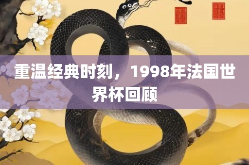 重温经典时刻，1998年法国世界杯回顾漯河市盈旭机械设备有限公司