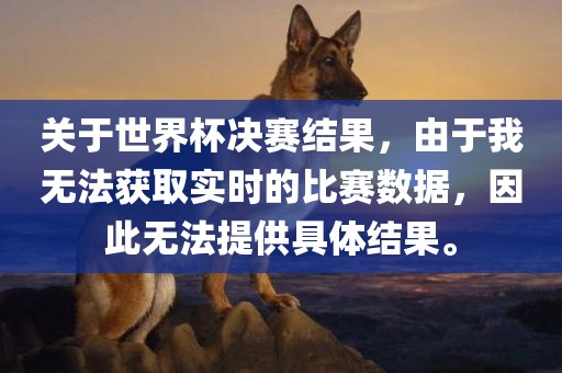 关于世界杯决赛结果，由于我无法获取实时的比赛数据，因此无法提供具体结果。