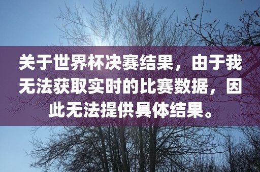 关于世界杯决赛结果，由于我无法获取实时的比赛数据，因此无法提供具体结果。