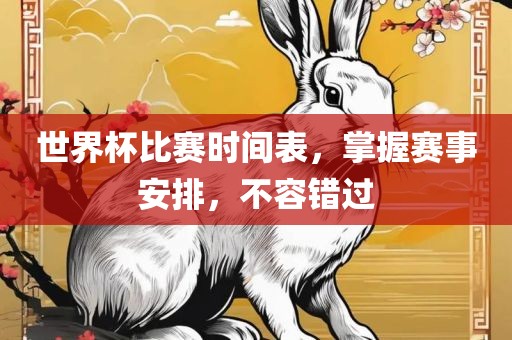 世界杯比赛时间表，掌握赛事安排，不容错过