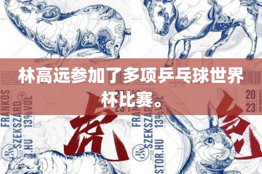 林高远参加了多项乒乓球世界杯比赛。