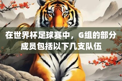 世界杯足球赛 第11页