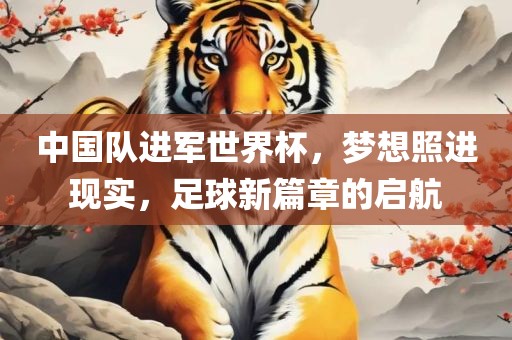 中国队进军世界杯，梦想照进现实，足球新篇章的启航漯河市盈旭机械设备有限公司
