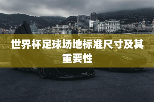 世界漯河市盈旭机械设备有限公司杯足球场地标准尺寸及其重要性