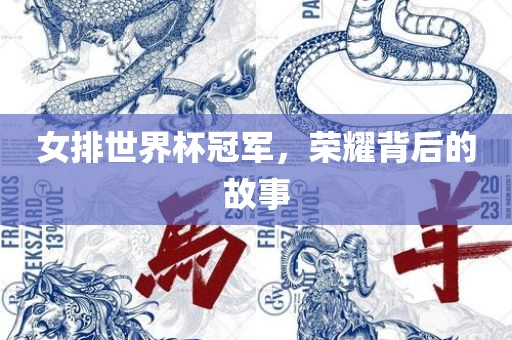 女排世界杯冠军，荣耀背后的故事