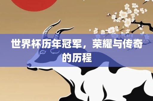 世界杯历年冠军，荣耀与传奇的历程