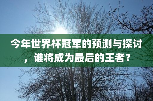 今年世界杯冠军的预测与探讨，谁将成为最后的王者？