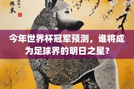 今年世界杯冠军预测，谁将成为足球界的明日之星？