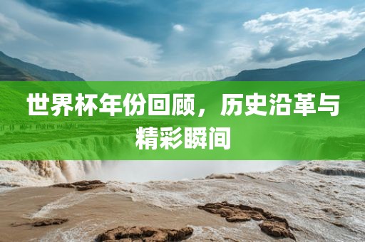 世界杯年份回顾，历史沿革与精彩瞬间