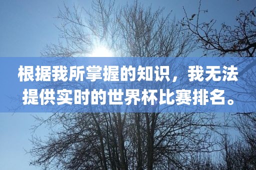 根据我所掌握的知识，我无法提供实时的世界杯比赛排名。
