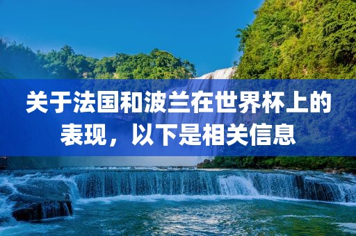 关于法国和波兰在世界杯上的表现，以下是相关信息