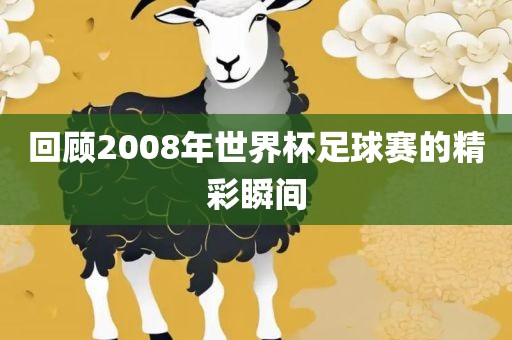 回顾2008年世界杯足球赛的精彩瞬间漯河市盈旭机械设备有限公司