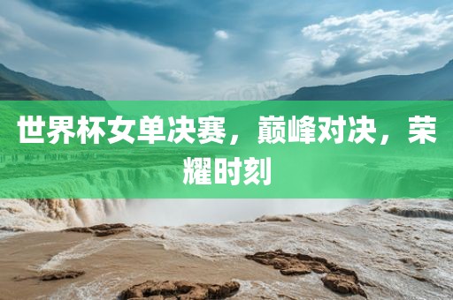世界杯女单决赛，巅峰对决，荣耀时刻