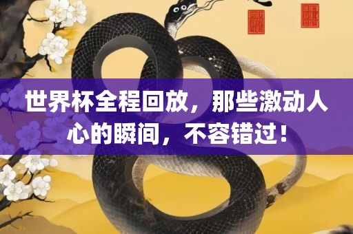 世界杯全程回放，那些激动人心的瞬间，不容错过！