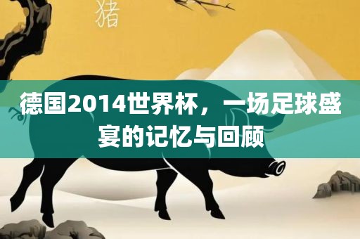 德国2014世界杯，一场足球盛宴的记忆与回顾