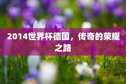 2014世界杯德国，传奇的荣耀之路