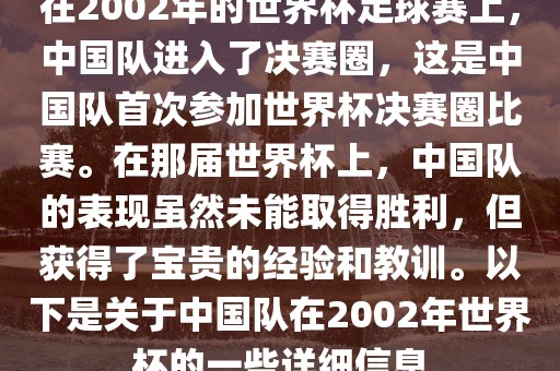 在2002年的世界杯足球赛上，中国队进入了决赛圈，这是中国队首次参加世界杯决赛圈比赛。在那届世界杯上，中国队的表现虽然未能取得胜利，但获得了宝贵的经验和教训。以下是关于中国队在2002年世界杯的一些详细信息