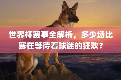 世界杯赛事全解析，多少场比赛在等待着球迷的狂欢？