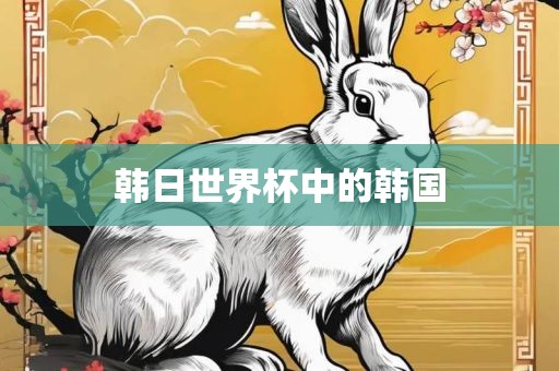 韩日世界杯中的韩国