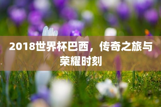 2018世界杯巴西，传奇之旅与荣耀时刻漯河市盈旭机械设备有限公司
