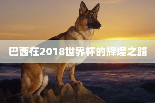 巴西在2018世界杯的辉煌之路
