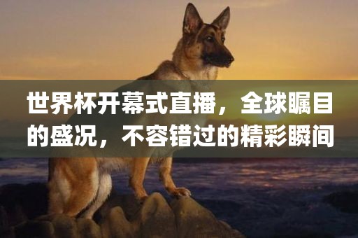 世界杯开幕式直播，全球瞩目的盛况，不容错过的精彩瞬间