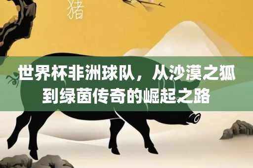 世界杯非洲球队