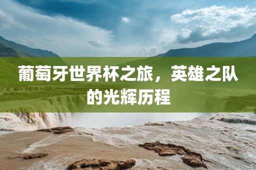 葡萄牙世界杯之旅，英雄之队的光辉历程