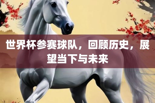 世界杯参赛球队，回顾历史，展望当下与未来漯河市盈旭机械设备有限公司