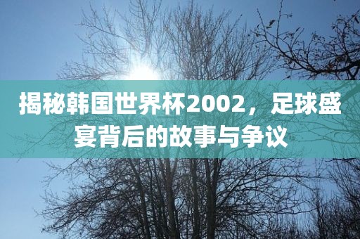 揭秘韩国世界杯2002，足球盛宴背后的故事与争议