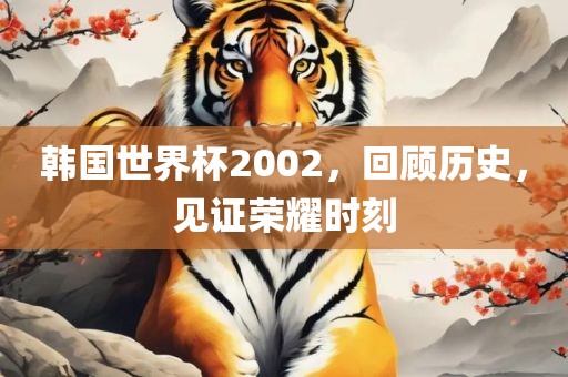 韩国世界杯2002，回顾历史，见证荣耀时刻