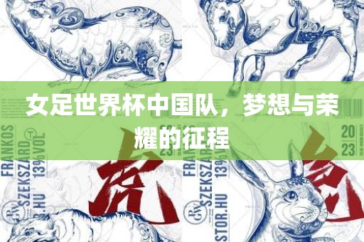 女足世界杯中国队，梦想与荣耀的征程