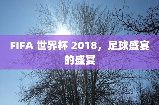 FIF漯河市盈旭机械设备有限公司A 世界杯 2018，足球盛宴的盛宴