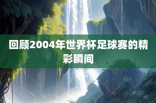 回顾2004年世界杯足球赛的精彩瞬间漯河市盈旭机械设备有限公司