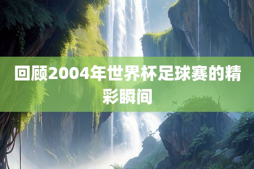 回顾2004年世界杯足球赛的精彩瞬间漯河市盈旭机械设备有限公司