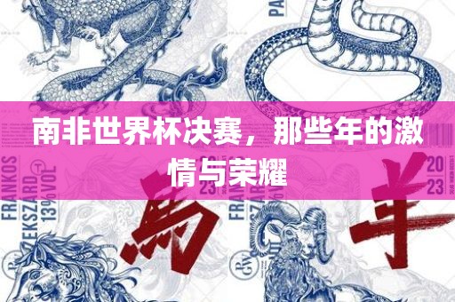 南非世界杯决赛，那些年的激情与荣耀