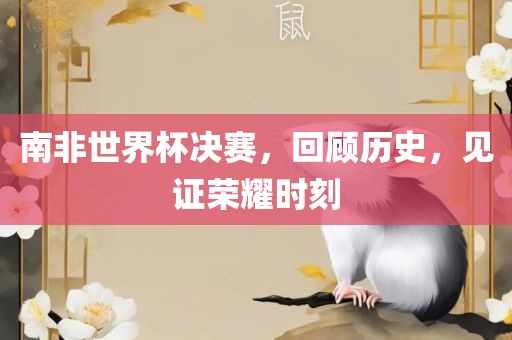 南非世界杯决赛，回顾历史，见证荣耀时刻漯河市盈旭机械设备有限公司