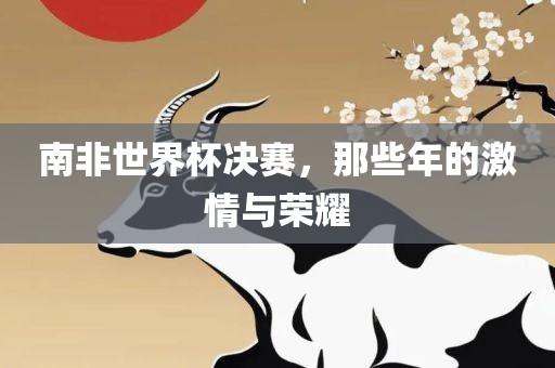南非世界杯决赛，那些年的激情与荣耀