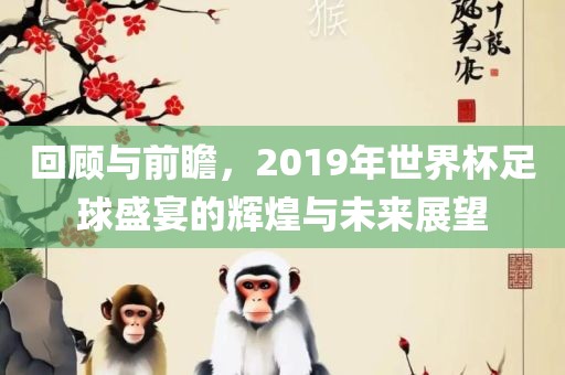 回顾与前瞻，2019年世界杯足球盛宴的辉煌与未来展望