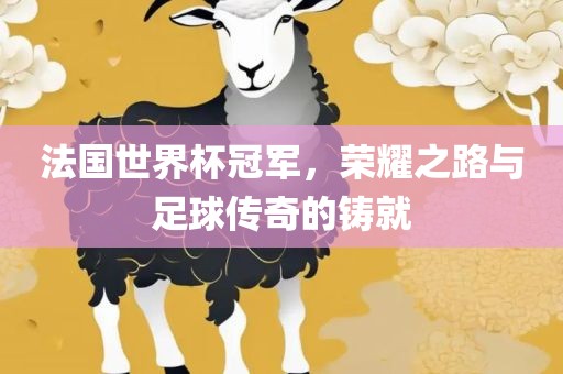 法国世界杯冠军，荣耀之路与足球传奇的铸就