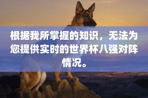根据我所掌握的知识，无法为您提供实时的世界杯八强对阵情况。