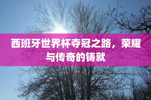 西班牙世界杯夺冠之路，荣耀与传奇的铸就