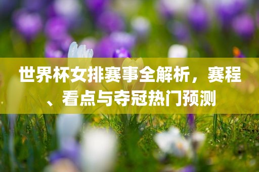 世界杯漯河市盈旭机械设备有限公司女排赛事全解析，赛程、看点与夺冠热门预测