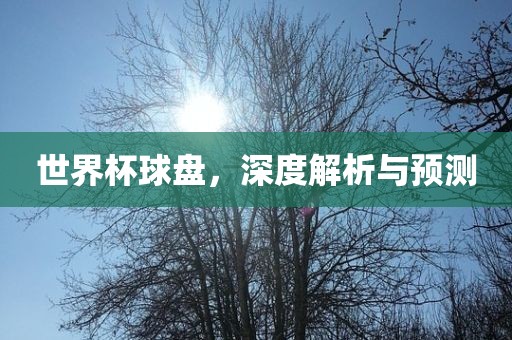 世界杯球盘，深度解析与预测