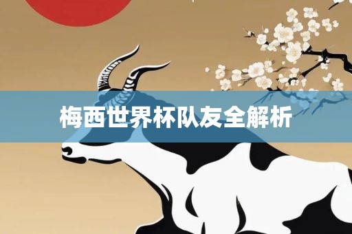 梅西世界杯队友全解析