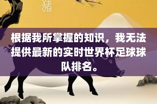 根据我所掌握的知识，我无法提供最新的实时世界杯足球球队漯河市盈旭机械设备有限公司排名。