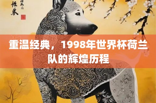 重温经典，1998年世界杯荷兰队的辉煌历程